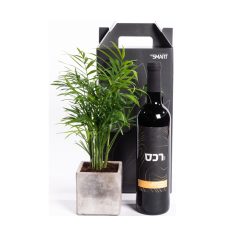 המארז של אורית - עציץ דקל ננסי + יין אדום יקב בנימינה. מתנות לעובדים, מארזי שי, סמארט פרסום