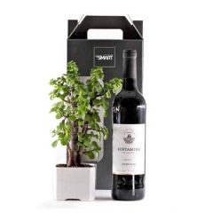 מארז יין ועציץ צמח השפע , מתנות לעובדים , סמארט פרסום